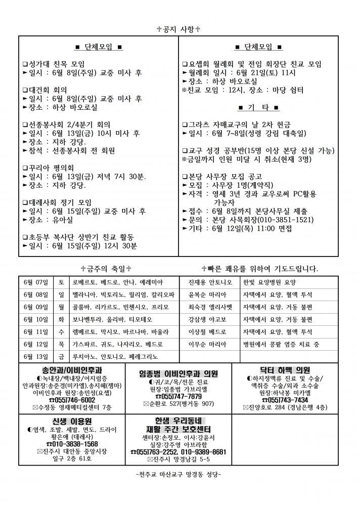 1411호 성령강림대축일002.png.jpg