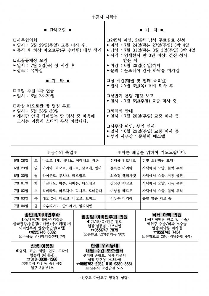 1414호 성베드로와 성바오로 사도 대축일(교황주일)002.png.jpg